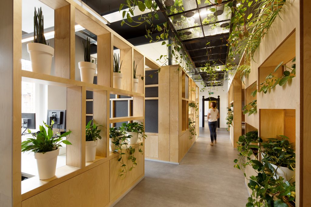 An image shows the inside of The Software House office