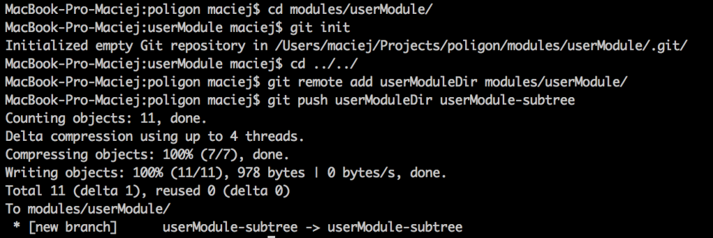 A fragment of the code showing initialization of empty git repository.