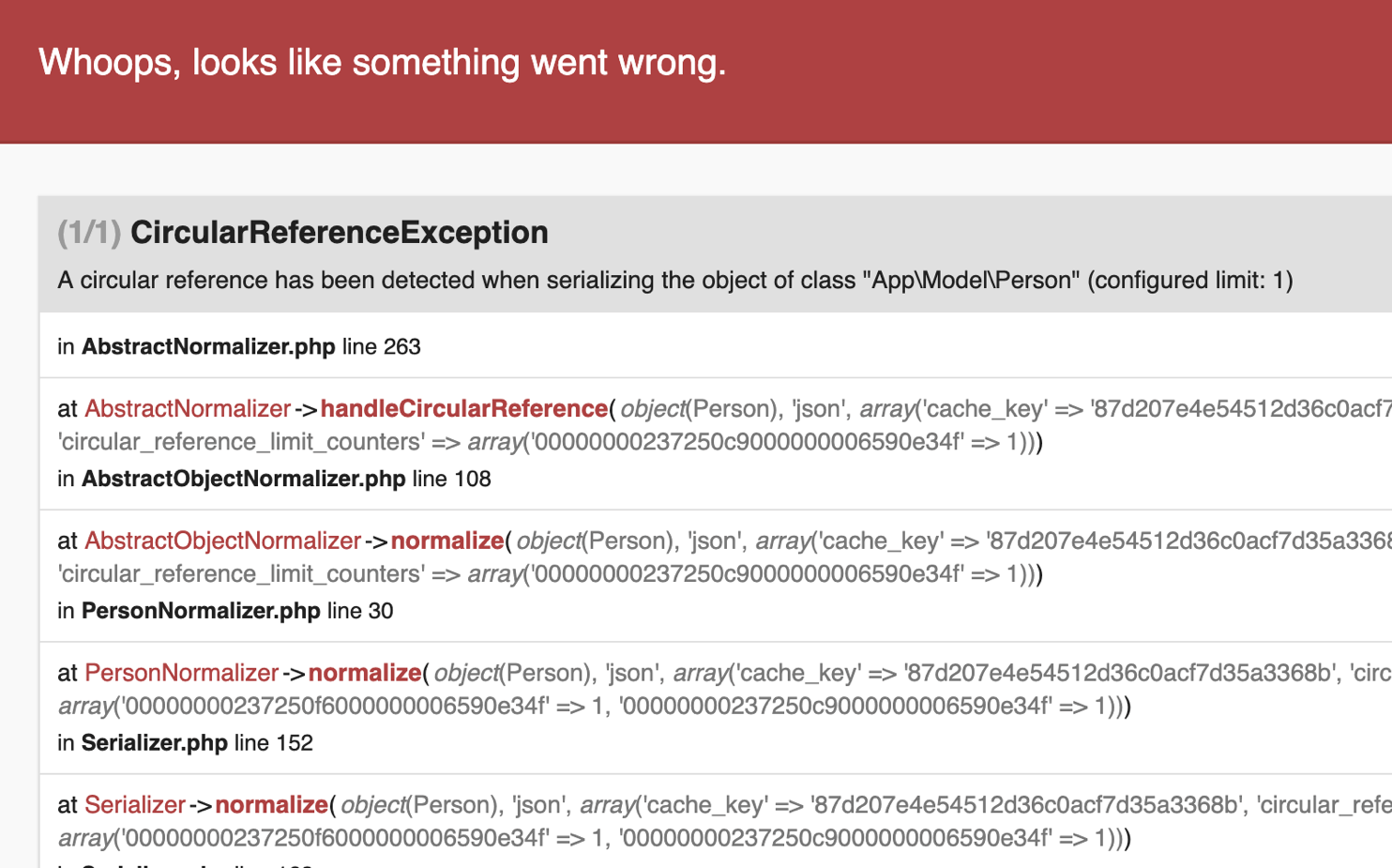 A screenshot of Circular Reference Exception.