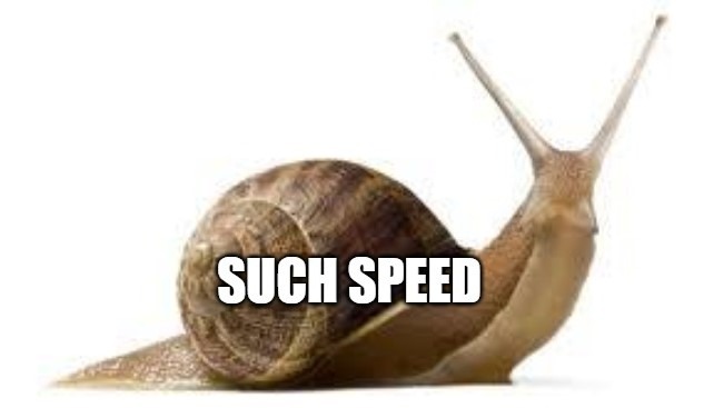 snail speed