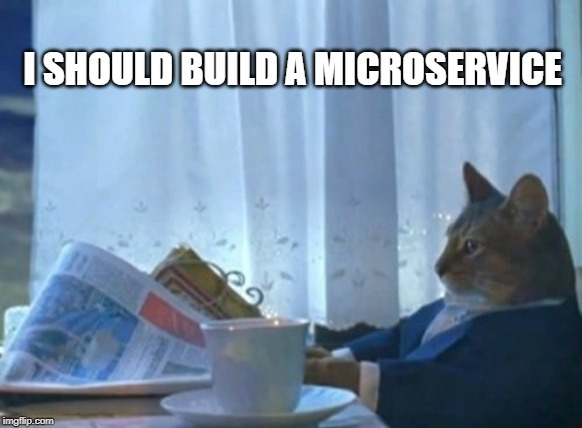 cat ina suit with a newspaper thinking: i should build a microservice