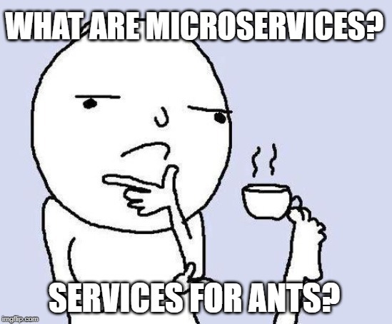 person thinking with a caption: what are microservices? services for ants?