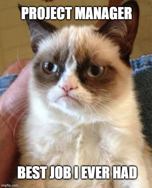 how to become an it project manager grumpy cat meme project manager the best job i ever had