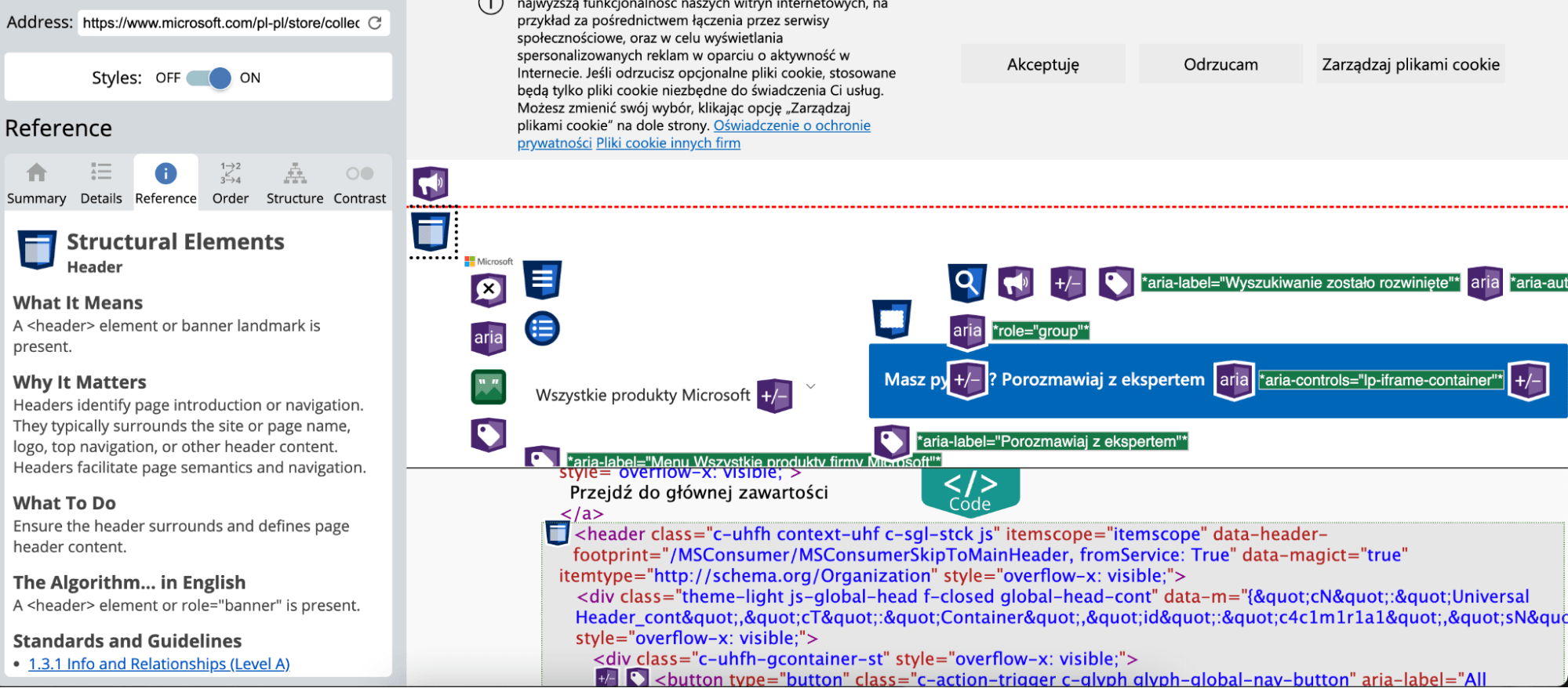 WAVE for your future accessible rich internet application