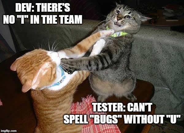 software development consulting services meme developers and QAs having a catfight
