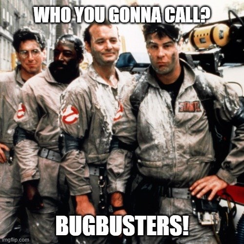 Software development team structure bugbusters meme