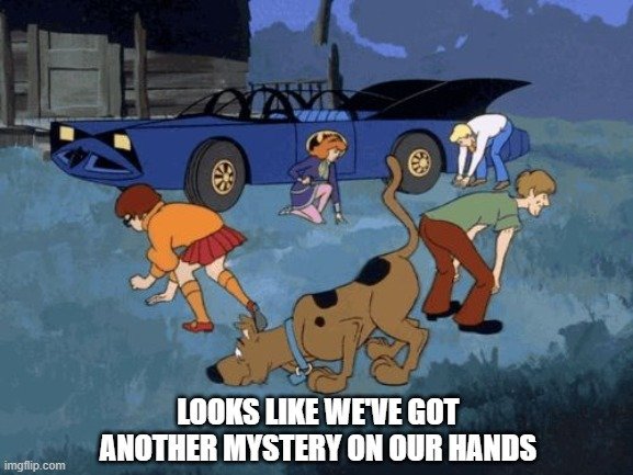 Software development team structure scooby doo meme