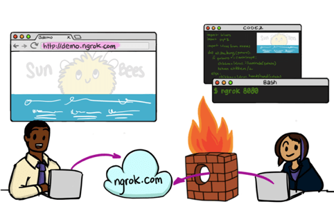 An image showing how ngrok works in practice