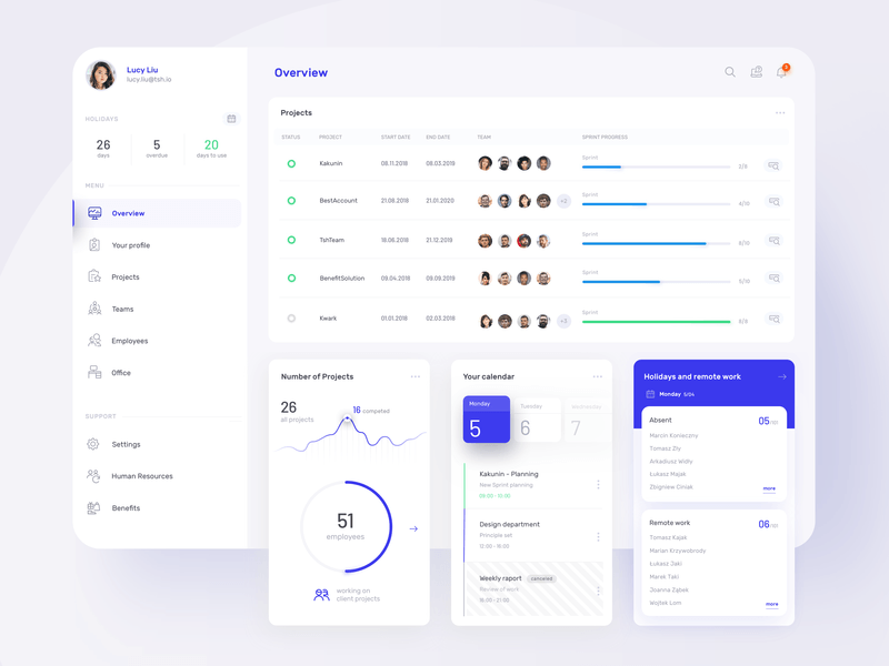 UI Design